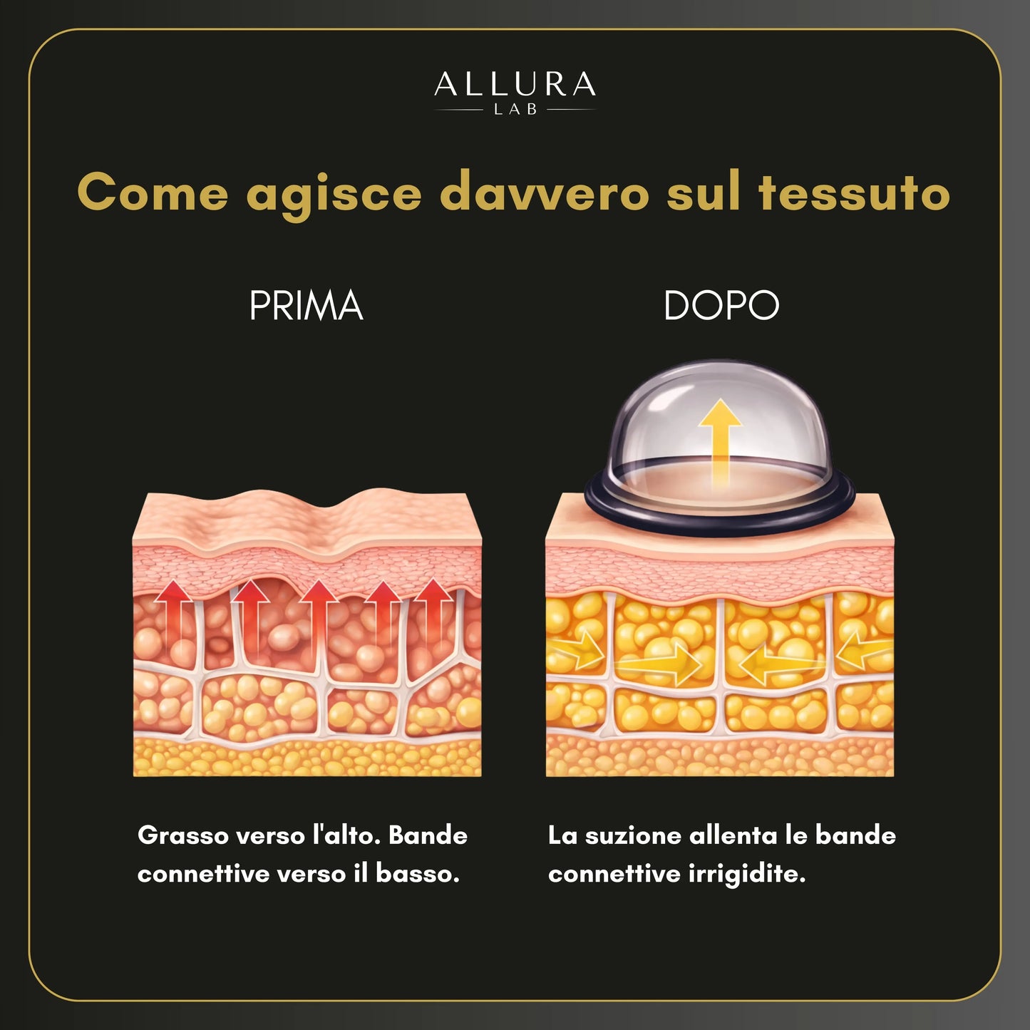Il Metodo Allura Lab — Olio + Coppette Rassodante Multizona