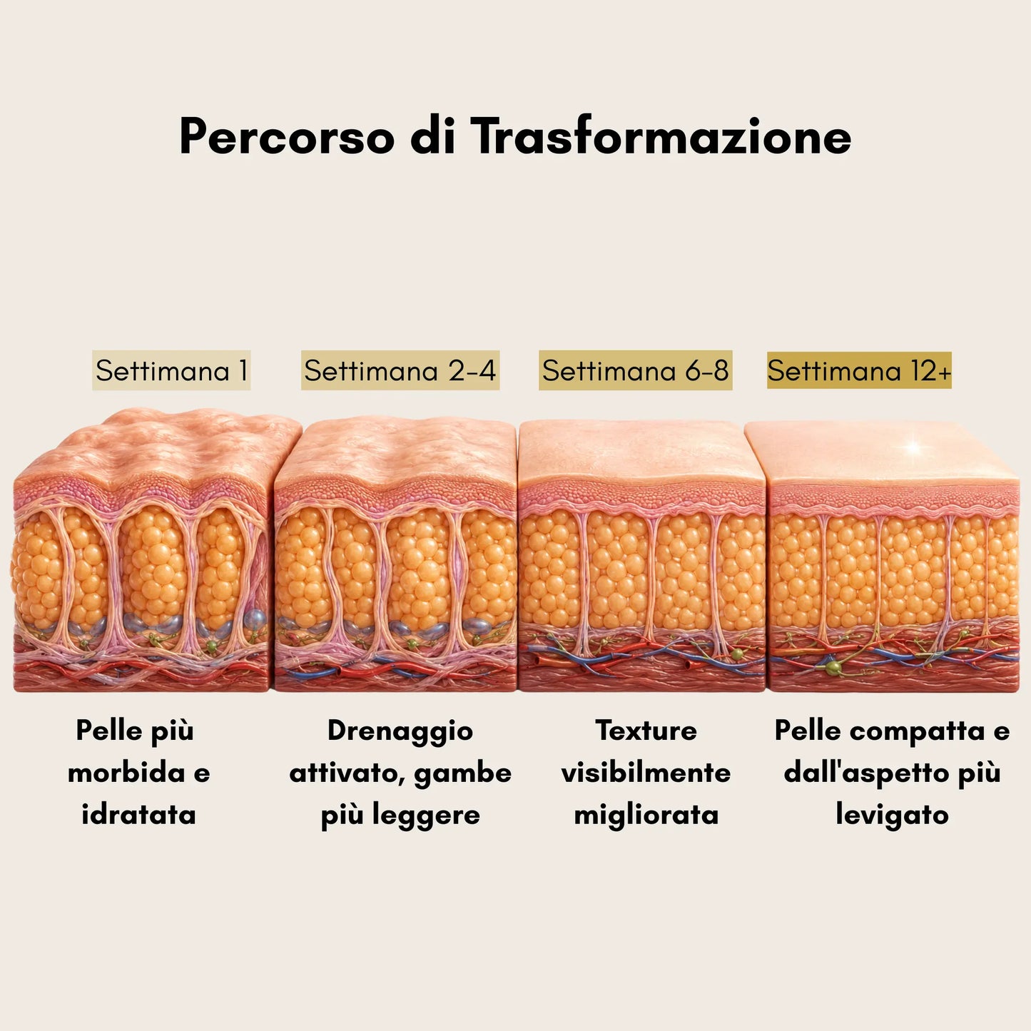 Allura Lab — Olio + Coppette Anti-Cellulite Multizona