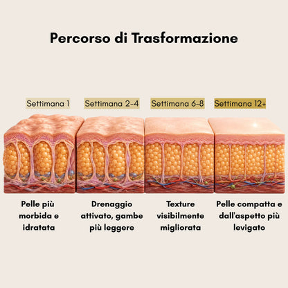 Allura Lab — Olio + Coppette Anti-Cellulite Multizona